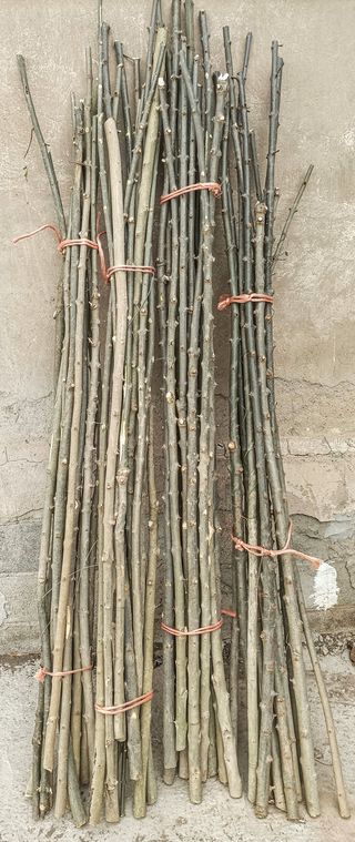 Varas de fresno para bastones ganadería