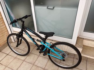 Bicicleta infantil 24 DENBIKE