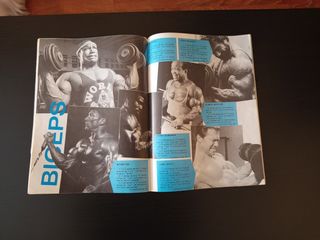 Pack 13 Revistas The Muscle y Muscle & Fitness