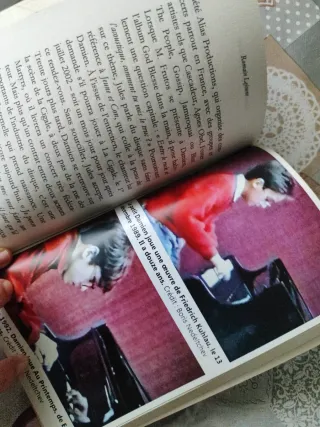 Damien Saez : à corps et à cris : biographie