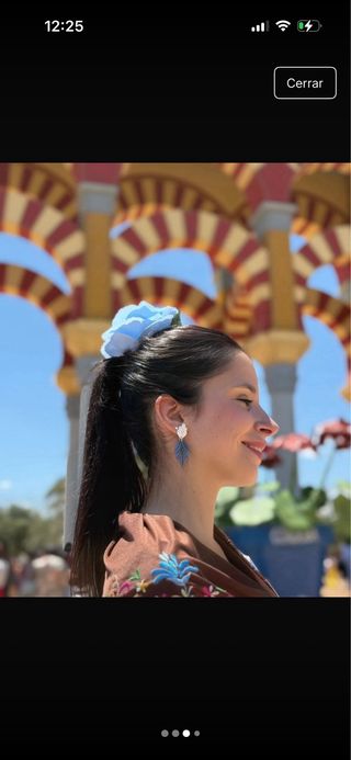 Mantón Flamenco Bordado Multicolor