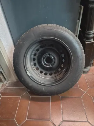 Rueda Renault Megane 195/65 R15