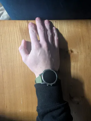 Garmin Fenix 5S Plus Reloj GPS