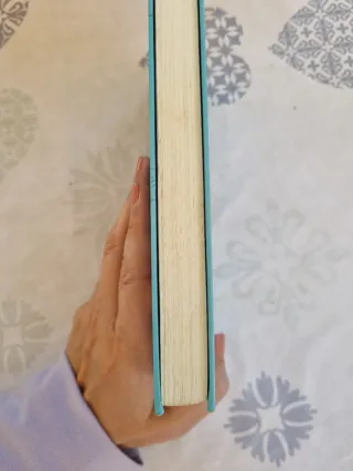 El diari de Bridget Jones