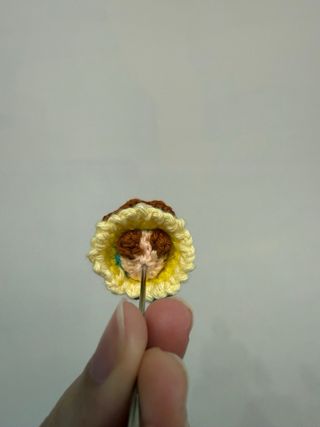 Anastasia Amigurumi Principessa