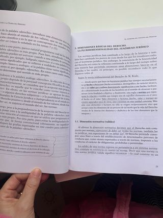 Introduccion a la Teoria del Derecho de la UNED