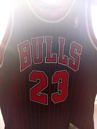 Camiseta Michael Jordan 23 Chicago Bulls