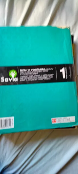 Física y química. 1 Bachillerato. Savia