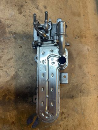 Enfriador EGR Audi/VW
