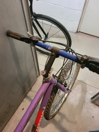 Bicicleta Montaña America Roja/Morada