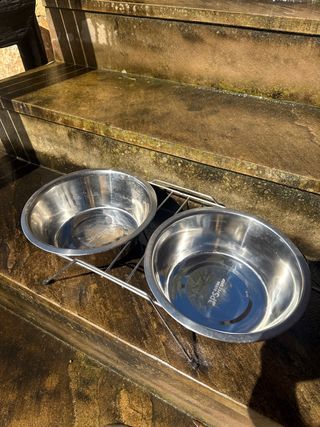 Comedero doble para perros