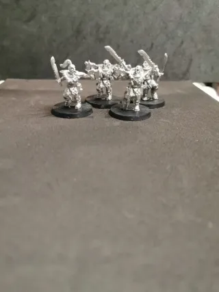 Warhammer 40k Exploradores Lobos Espaciales 3ª Ed