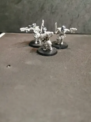 Warhammer 40k Exploradores Lobos Espaciales 3ª Ed