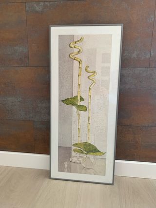 Cuadro Decorativo Bambú con cristal.