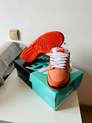 Nike Dunk SB Naranja