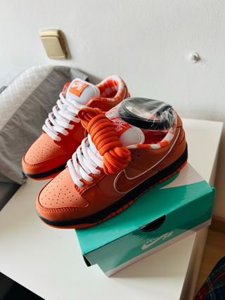 Nike Dunk SB Naranja