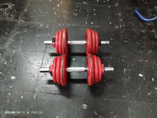 2 Mancuernas 20kg c/u