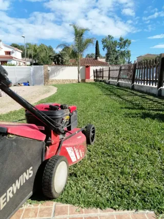 Jardinero