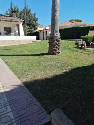 Jardinero