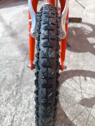 Bicicleta Orbea Safari 16 Infantil