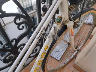 Bicicleta Torrot Clásica