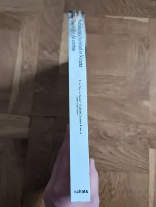 Sociología y sociedad en Navarra una visión del...