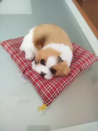 Perrito Peluche Adorable