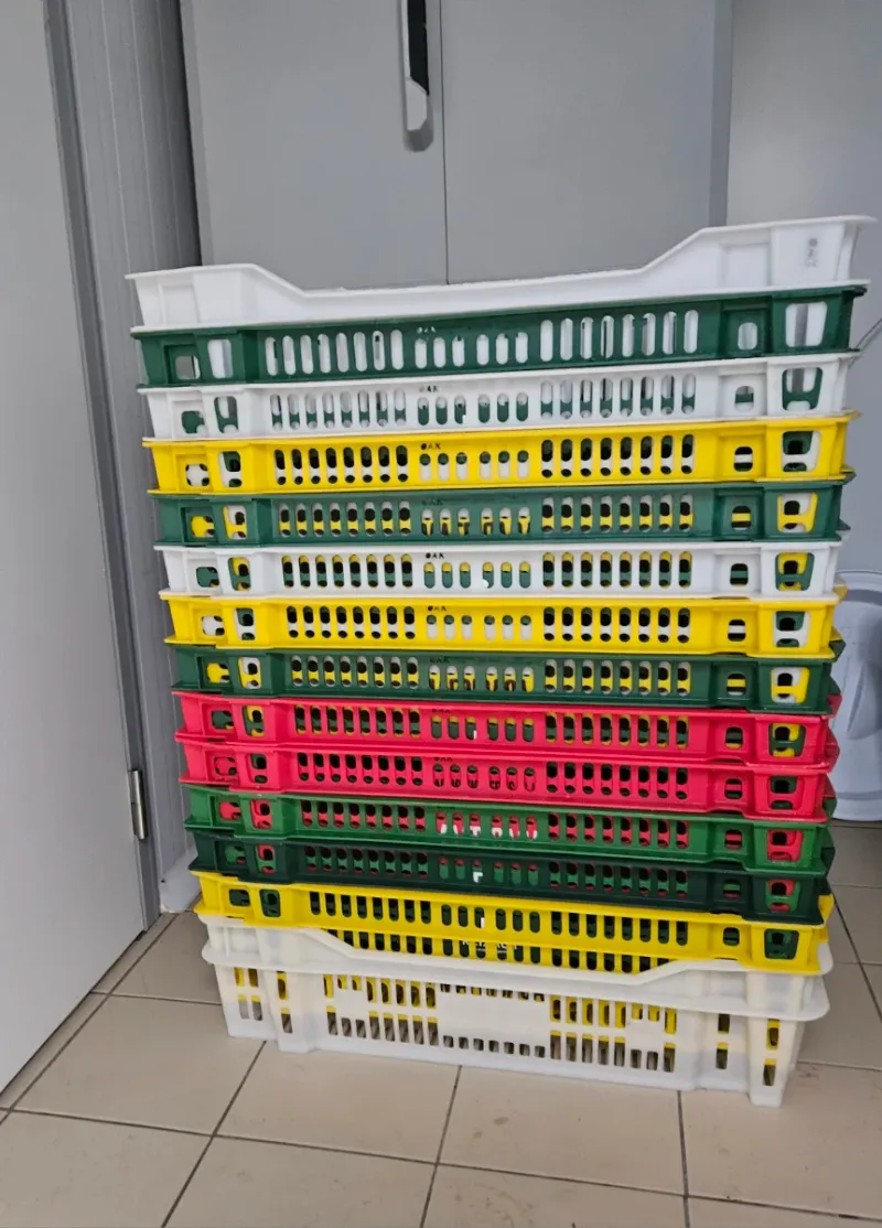 Cajas de plástico para carnicería