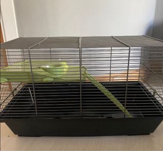Jaula para hámster con accesorios
