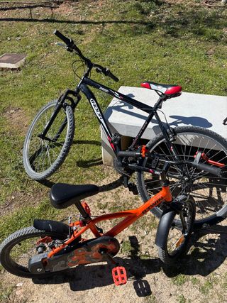 Bicicleta junior y adulto