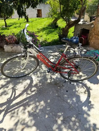 Bicicleta roja
