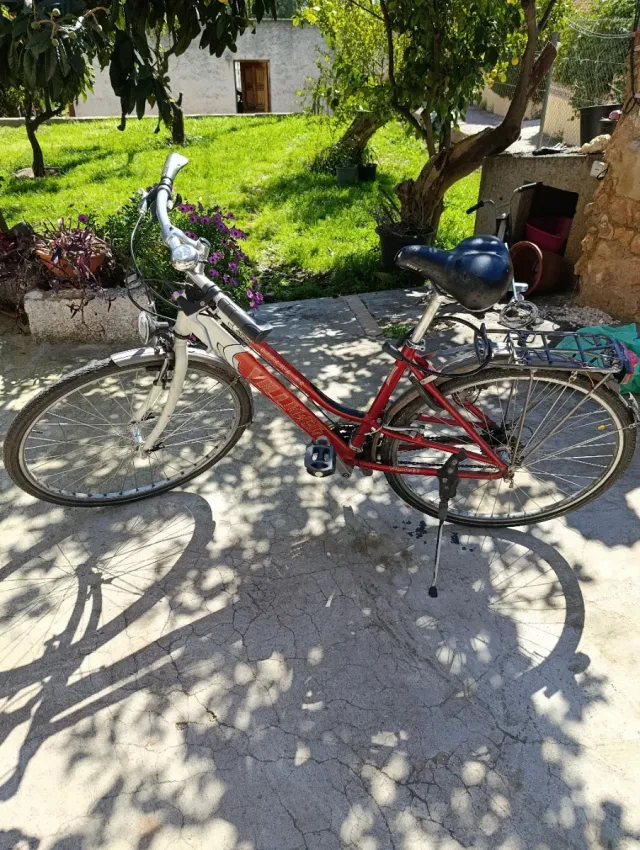 Bicicleta roja