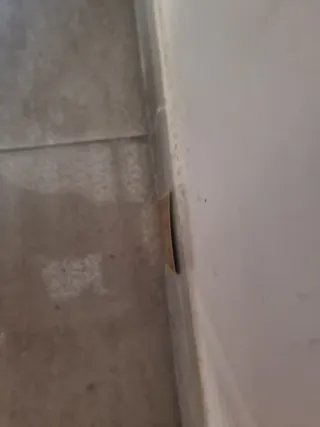 Carta Pokémon Charizard Stage 2