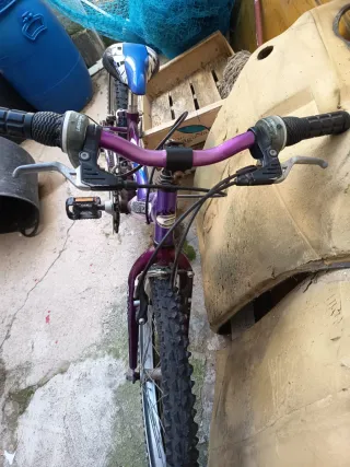 Bici Montaña Niña Coluer 20"