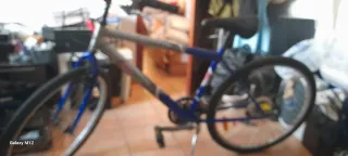 Bicicleta de adulto 18