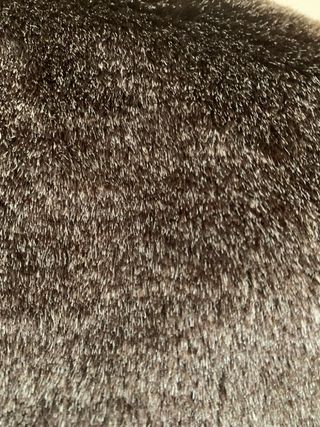 Abrigo Piel porcino Marrón Chocolate