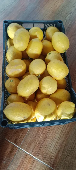 Limones frescos en cajas y bolsa