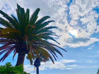 Chalet en alquiler en Costa Adeje en Adeje