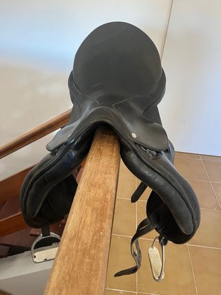 Montura Inglesa Zaldi Negra