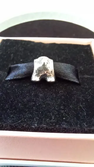 Charm Oso Pandora Plata