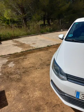 Volkswagen Polo 2015