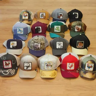 Lote de gorras Goorin Bros