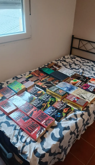 Lote Cielo Stephen King