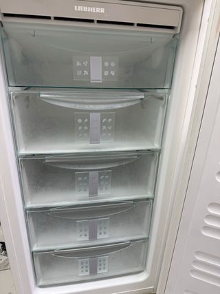 Congelador LIEBHERR NoFrost grande