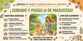 Cuidado y paseo de mascotas