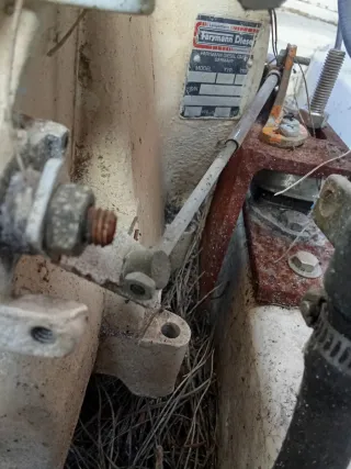 Barca motor Intraborda