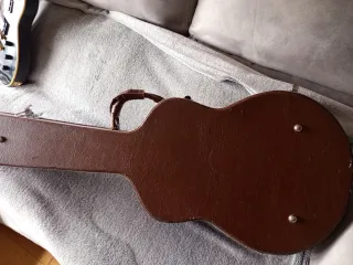 Estuche de guitarra Les Paul