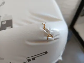 Bañera cambiador bebé Flip