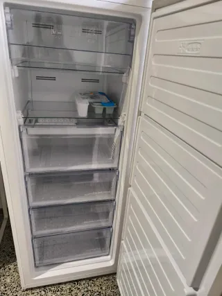 Congelador Vertical Beko No Frost