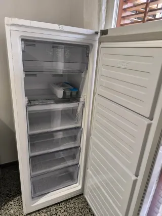 Congelador Vertical Beko No Frost